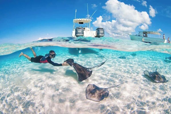 Divers