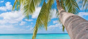 En perfekt tilbagetog-hvid sandstrand, varmt karibisk vand! Ved CaymanVacation