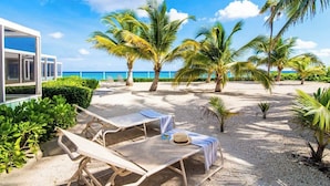 Een strandlounge met ligbedden, palmbomen en uitzicht op de oceaan.