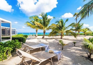 A beachside lounge with sun loungers, palm trees, and a view of the ocean. - Sea Biscuit 1BR Oceanfront - Snorkel, Bikes & Beachfront (Cayman Kai)