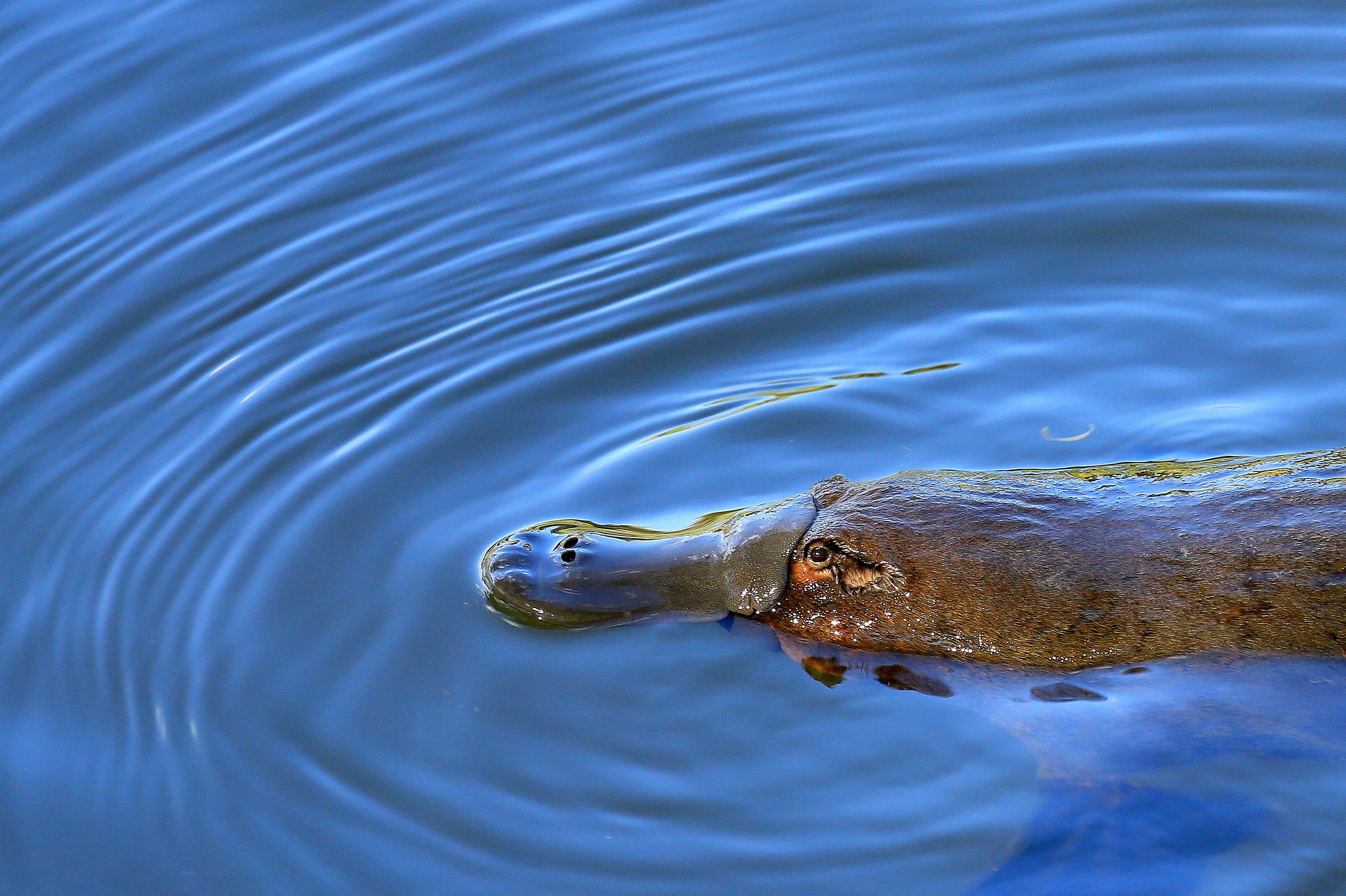 children’s activities