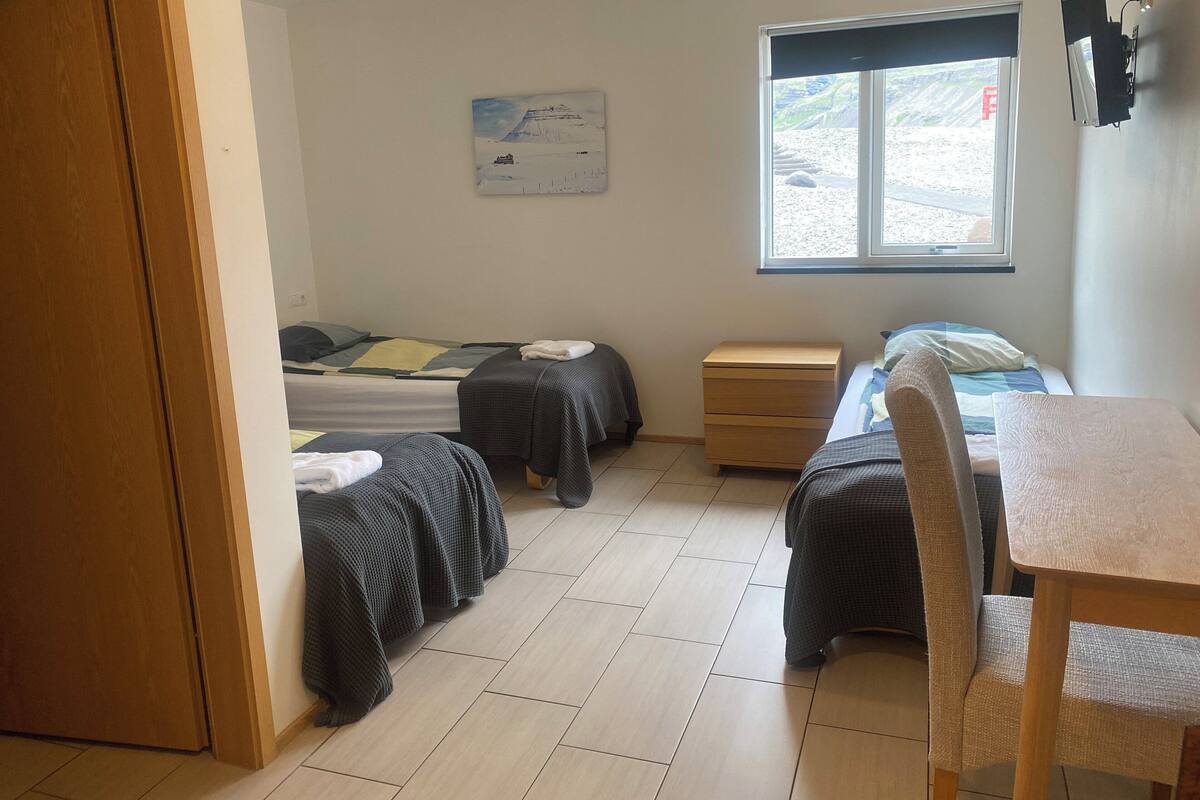 Une chambre avec deux lits, une commode en bois, une fenêtre donnant sur un beau paysage et un téléviseur fixé au mur.