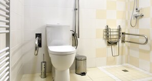 Double Room, Mobility Accessible, River View | Bathroom | Free toiletries, hair dryer, towels