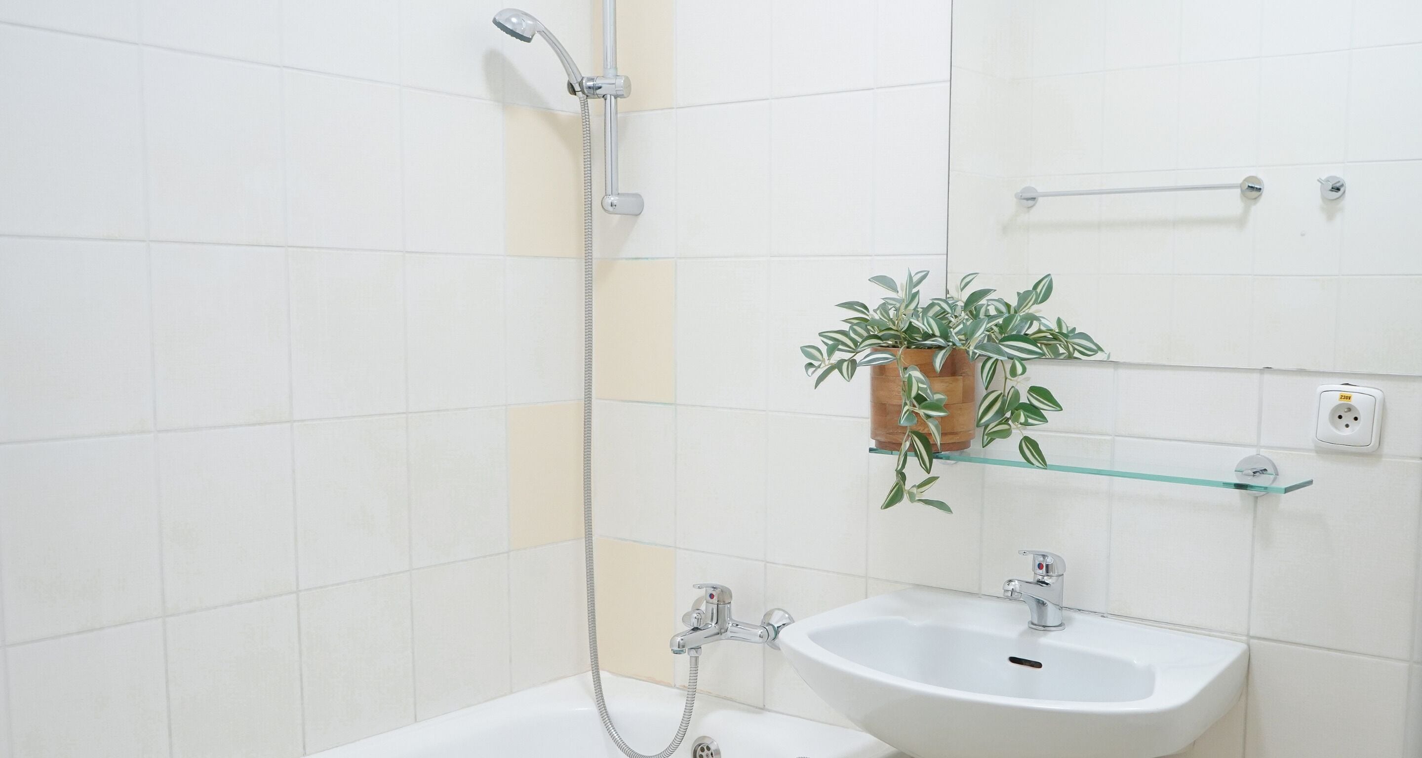 A bathroom with a white sink, a handheld showerhead, and a potted plant on a shelf.