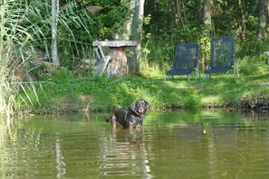 Overnatningsstedets område