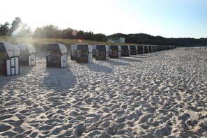 Fileira de cadeiras de praia em uma praia arenosa, com céu claro.
