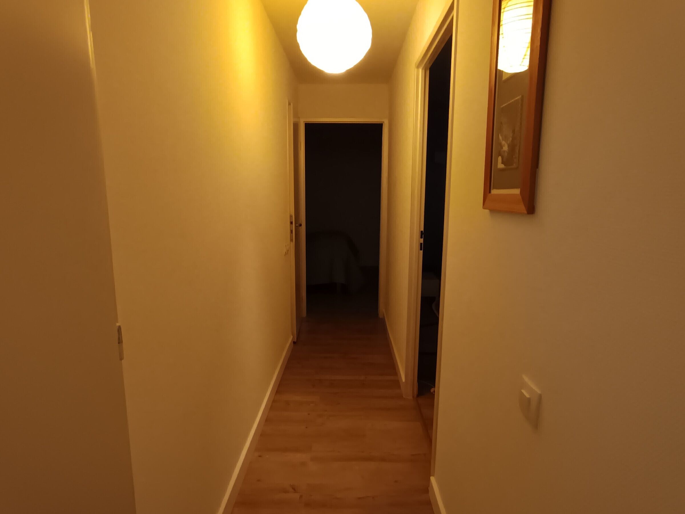 A narrow hallway with wooden flooring and a light fixture at the end.