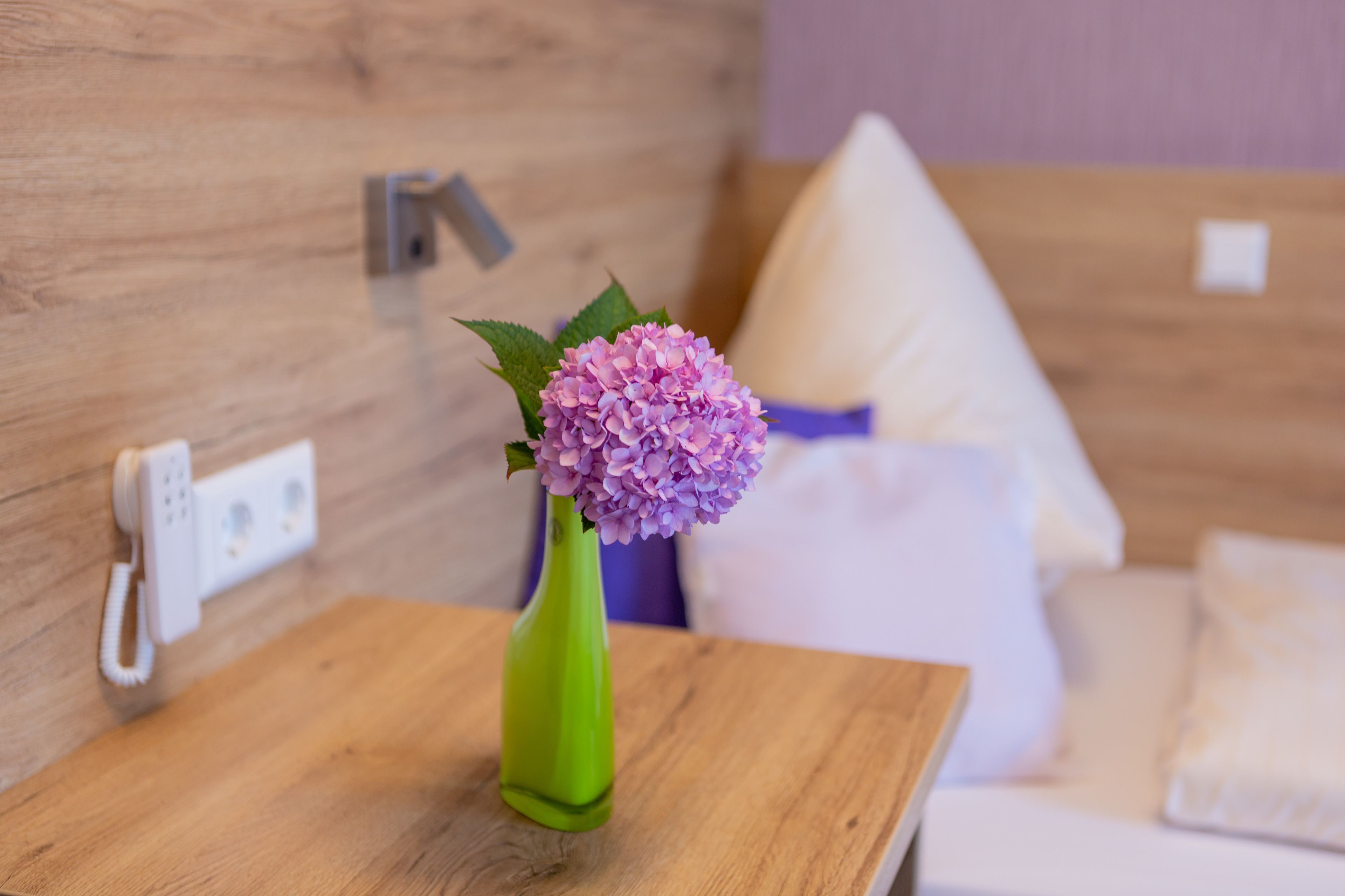 double room single use | room amenity