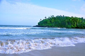 A beach with waves, a sandy shore, and a forested island in the background. - Tamasha Mango House (Batigama)