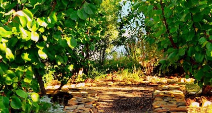 Orchard Cottage