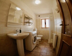 A bathroom with a sink, washing machine, toilet, and a shower. - 4lander House Balins (Clauzetto)