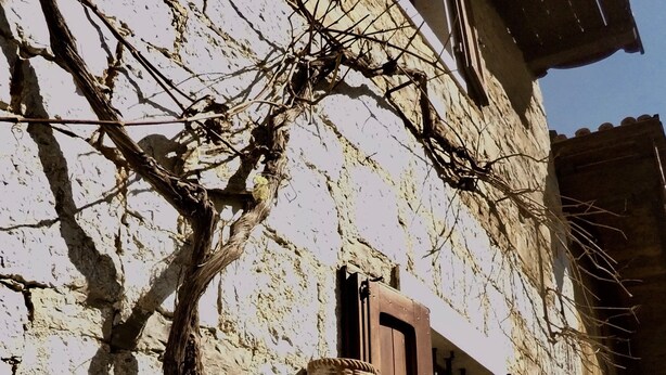 A rustic building with a stone wall, wooden shutters, and potted plants. - 4lander House Balins (Clauzetto)