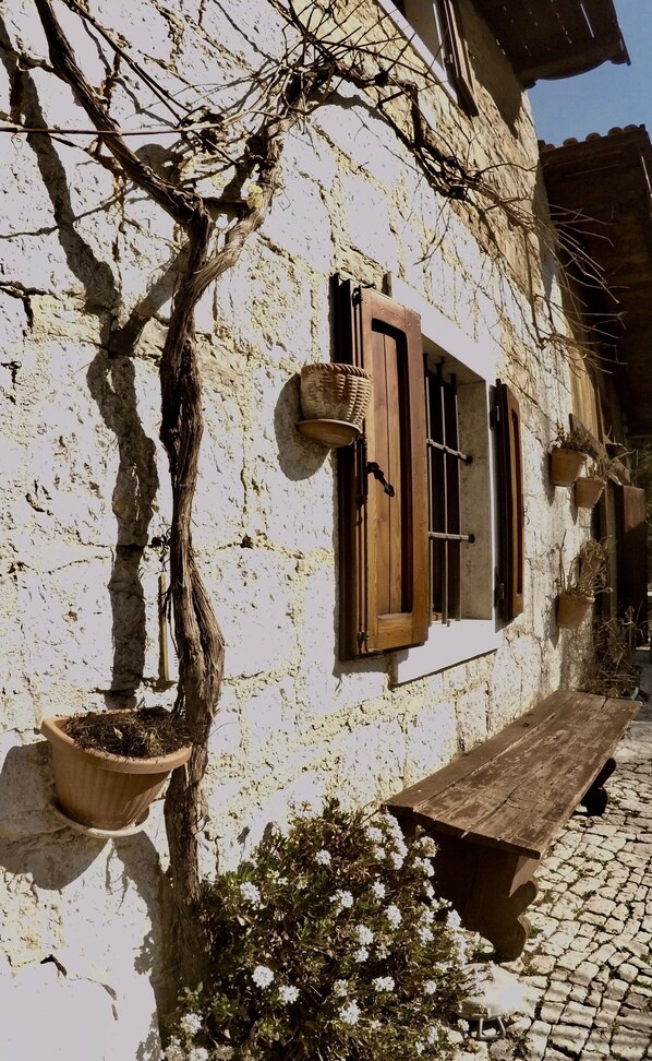 Exterior detail - 4lander House Balins (Clauzetto)