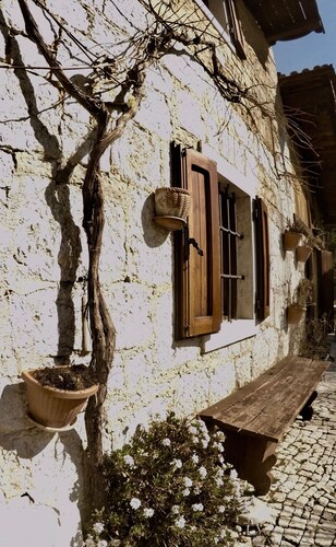 4lander House Balins