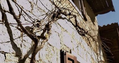 4lander House Balins