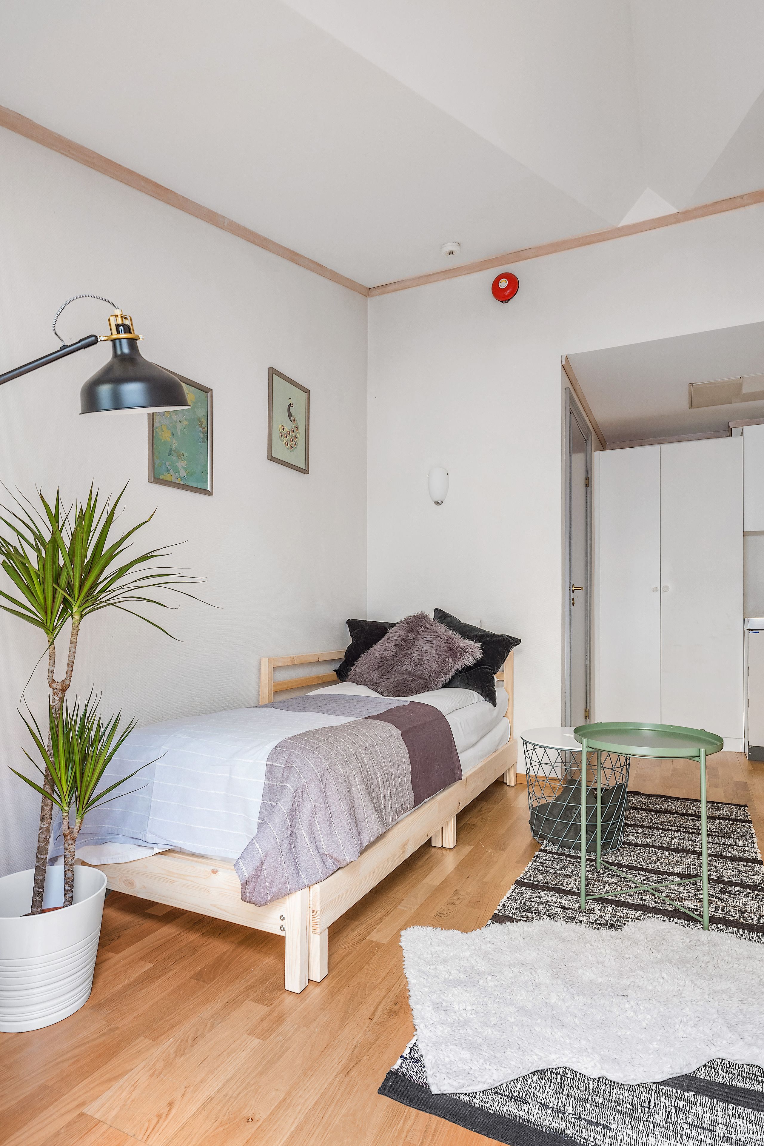 A bedroom with a bed, a desk, a chair, a potted plant, and a small rug.