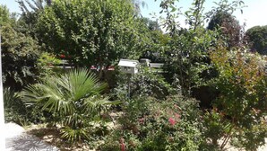 A garden with various plants and a small building. - Maison Venitia Chambres d'hôtes (Aussonne)