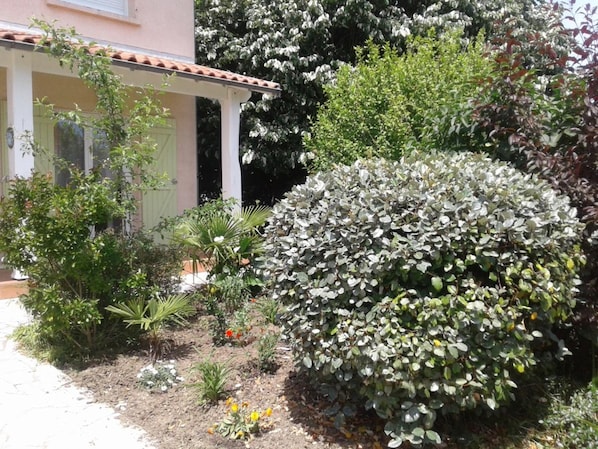 Courtyard