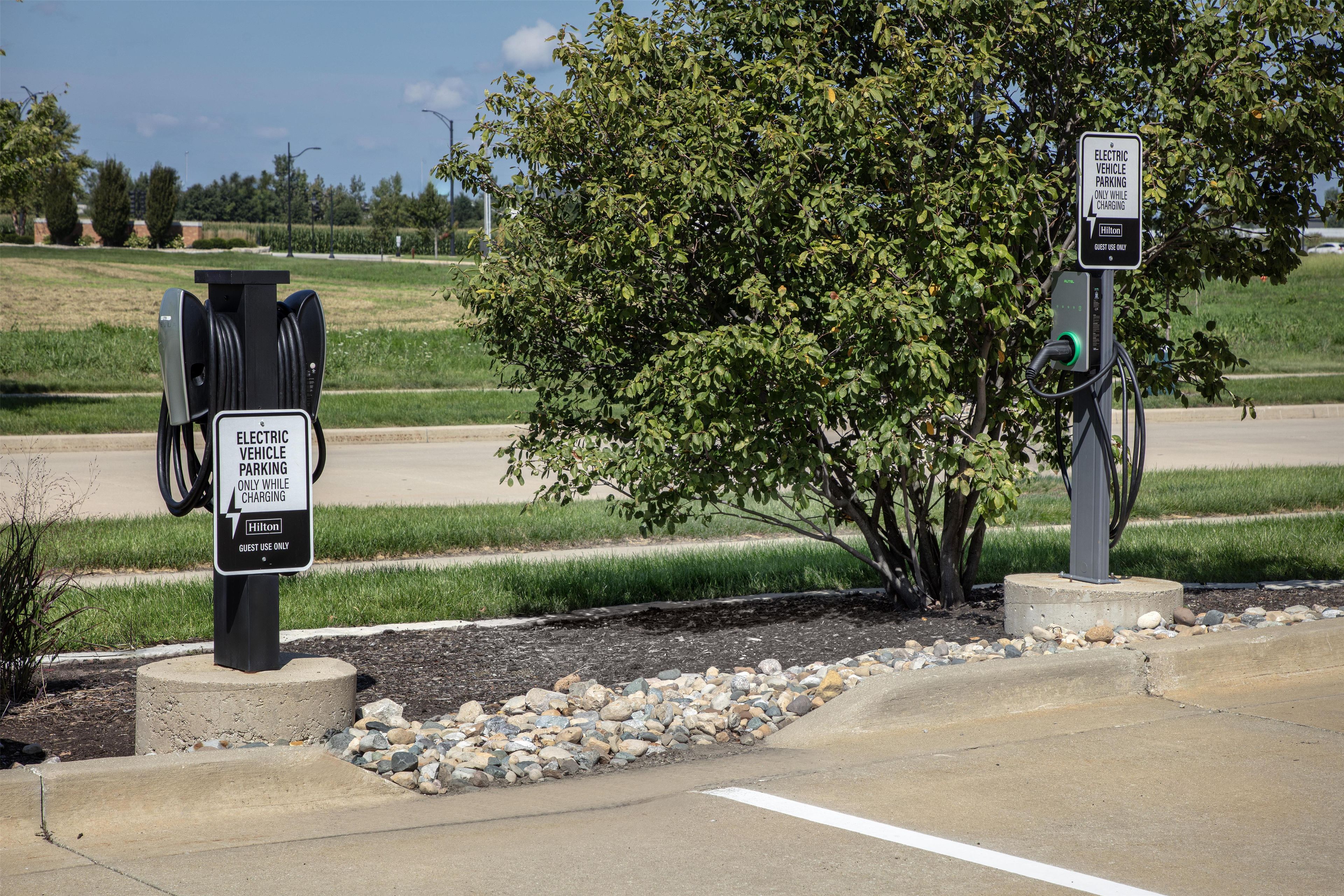 Electric vehicle charging stations with signs indicating guest use only, located near a road with a tree and grassy area.