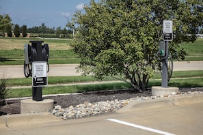 Electric vehicle charging stations with signs indicating guest use only, located near a road with a tree and grassy area.