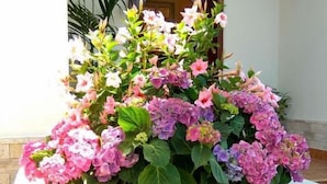 A floral arrangement in front of a building entrance. - Le Camelie (Ginosa)