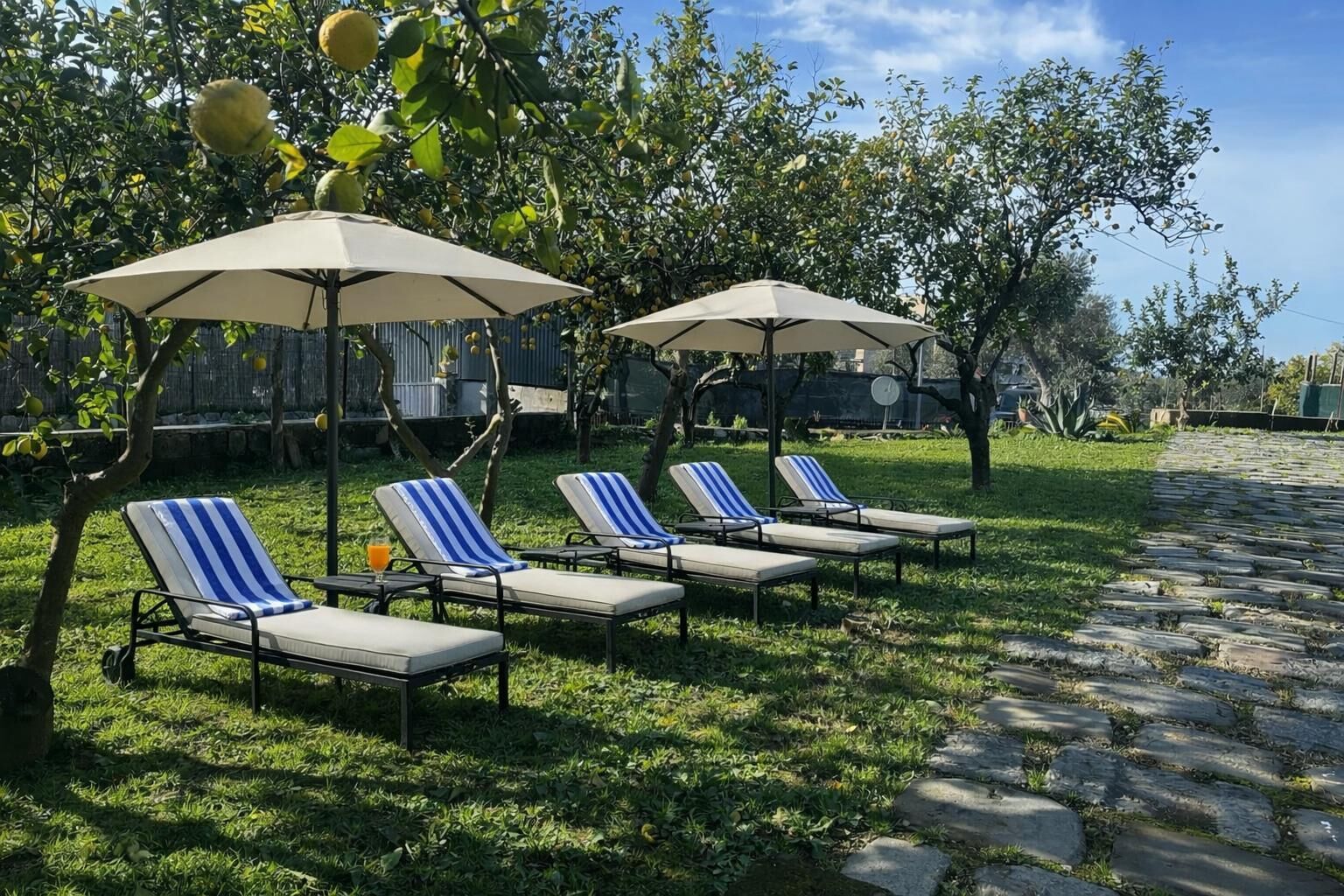 Foto - Lemon Factor Sorrento