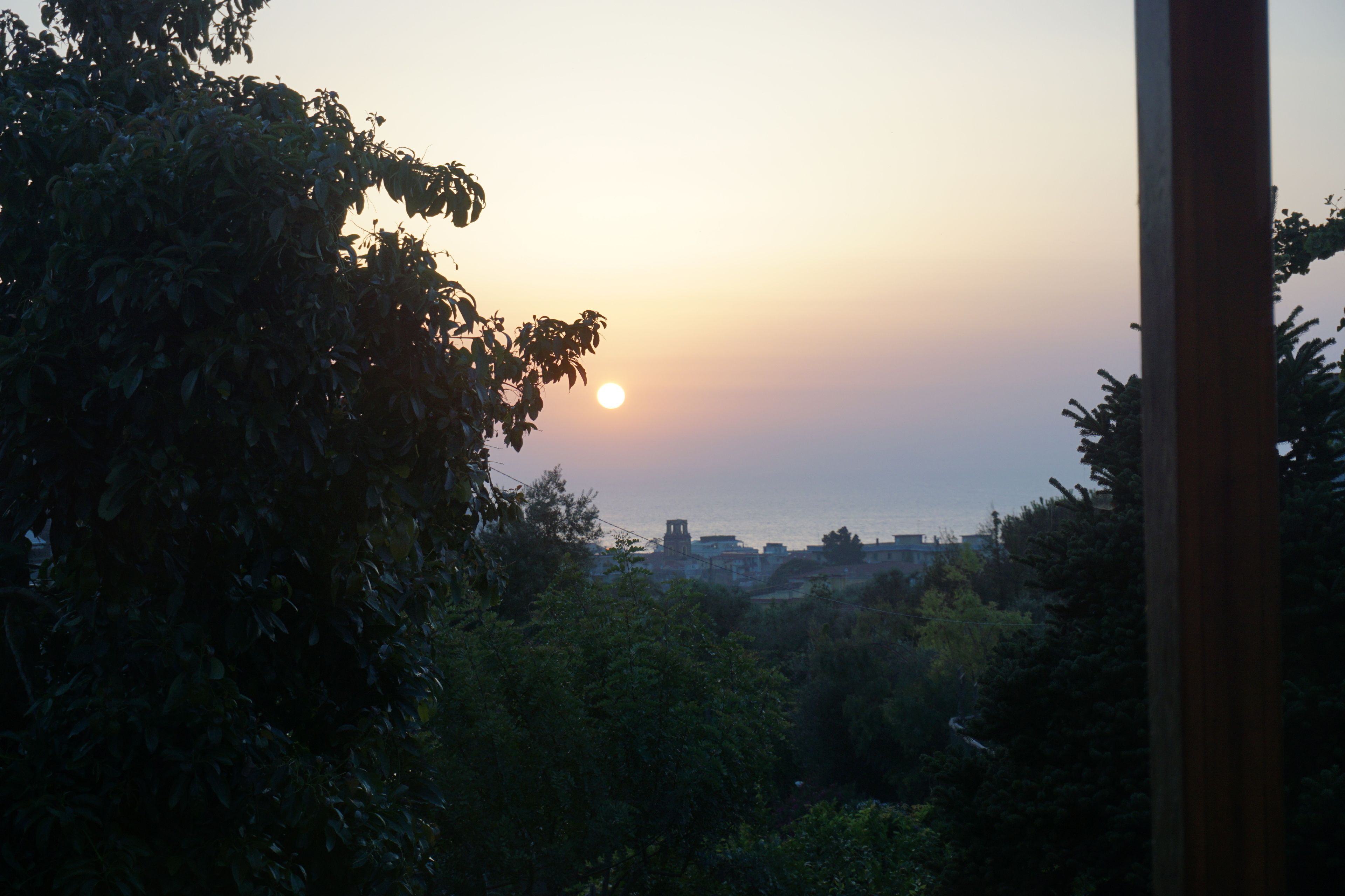 Foto - Lemon Factor Sorrento