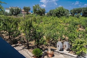 Parco della struttura