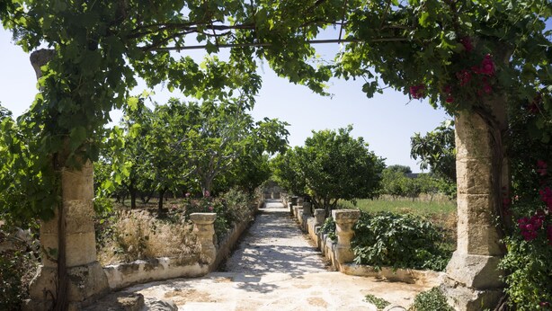 A stone pathway flanked by greenery and stone structures, leading through a garden or park area. - Masseria Capece (Cisternino)