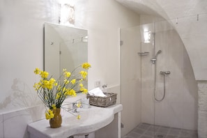 Shower, rainfall showerhead, free toiletries, hair dryer - Masseria Capece (Cisternino)