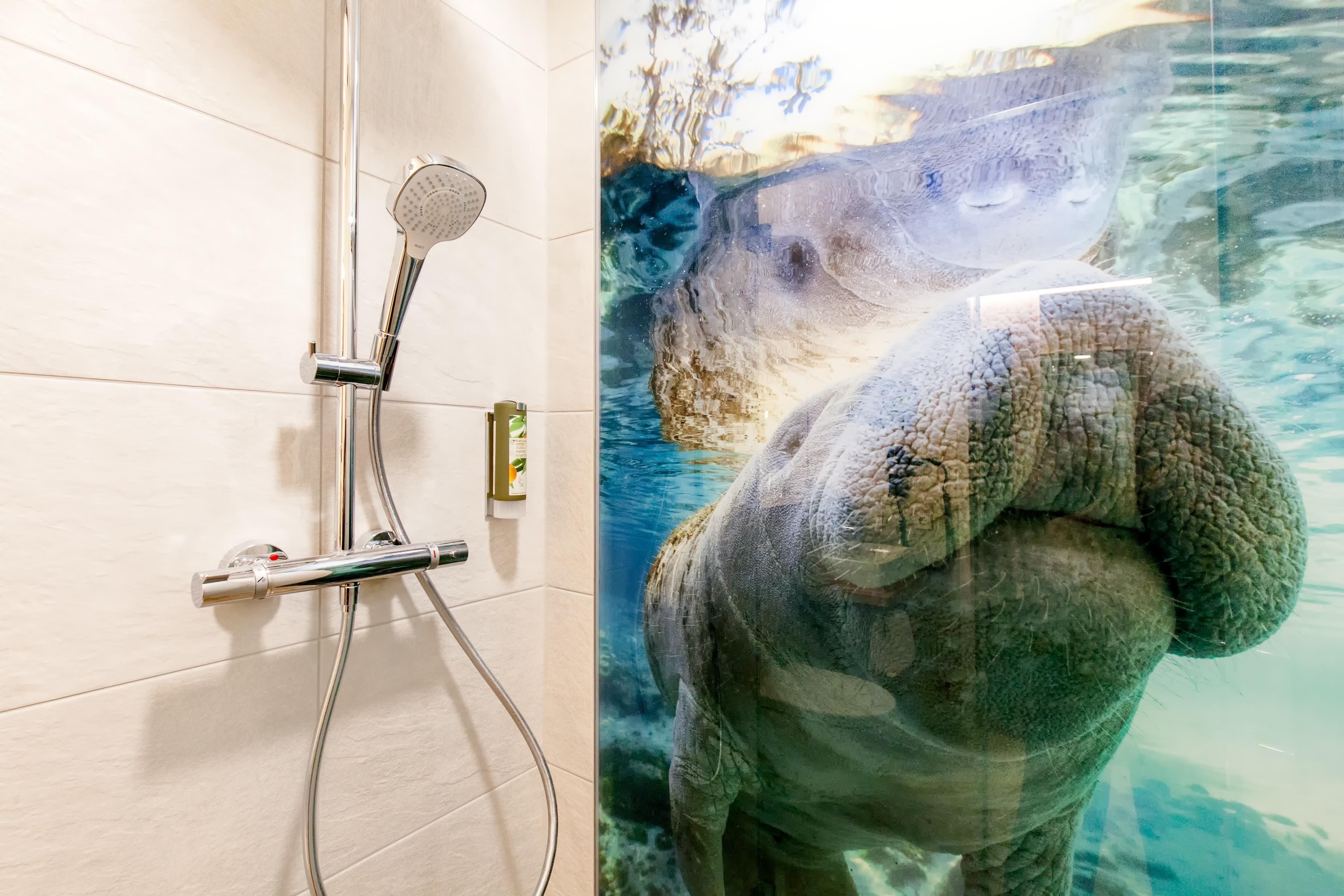 Eine Dusche mit Handbrause und Armaturen an der Wand.