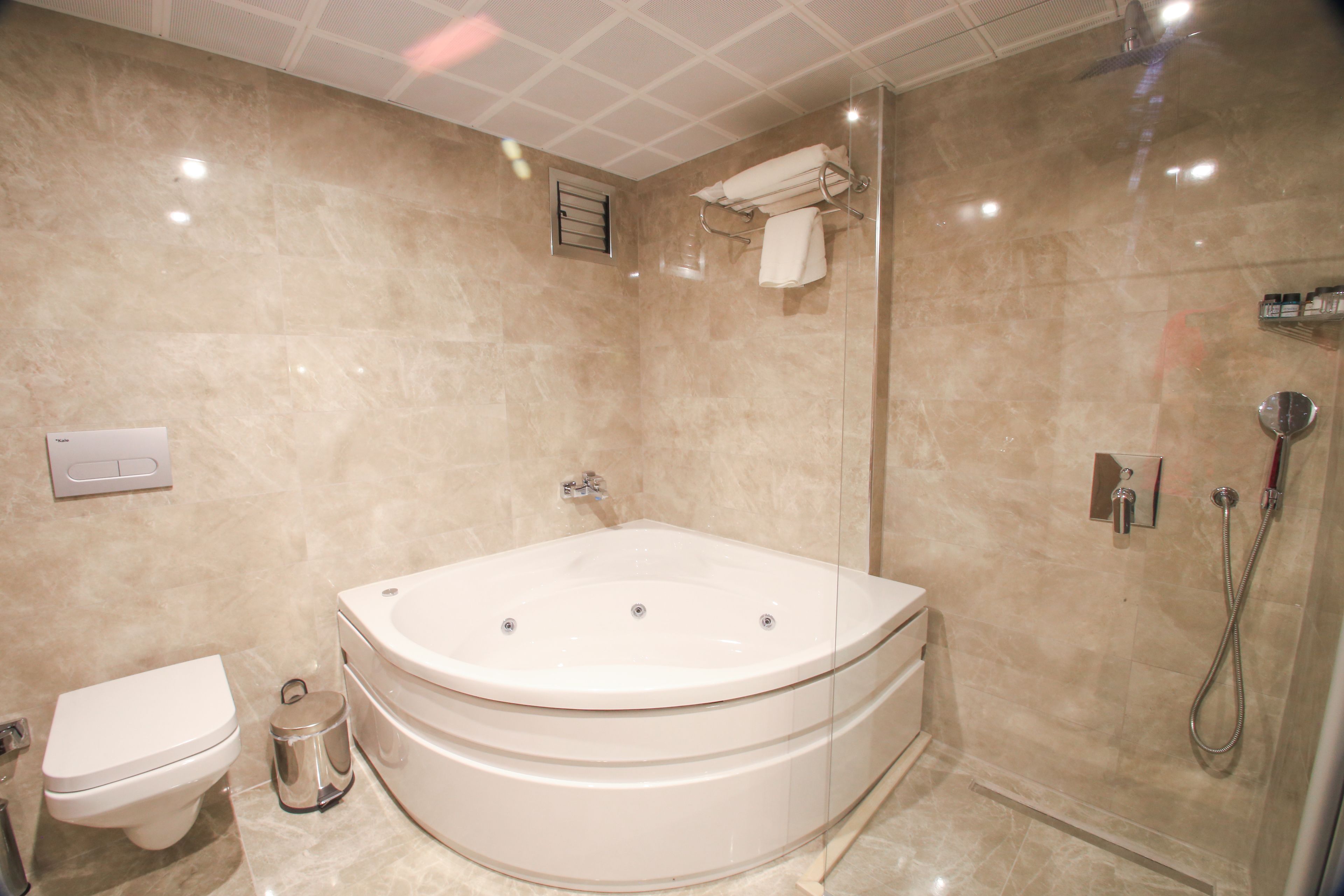 A modern bathroom with a freestanding bathtub, a toilet, and a shower area.