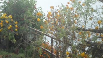 Detalle del exterior