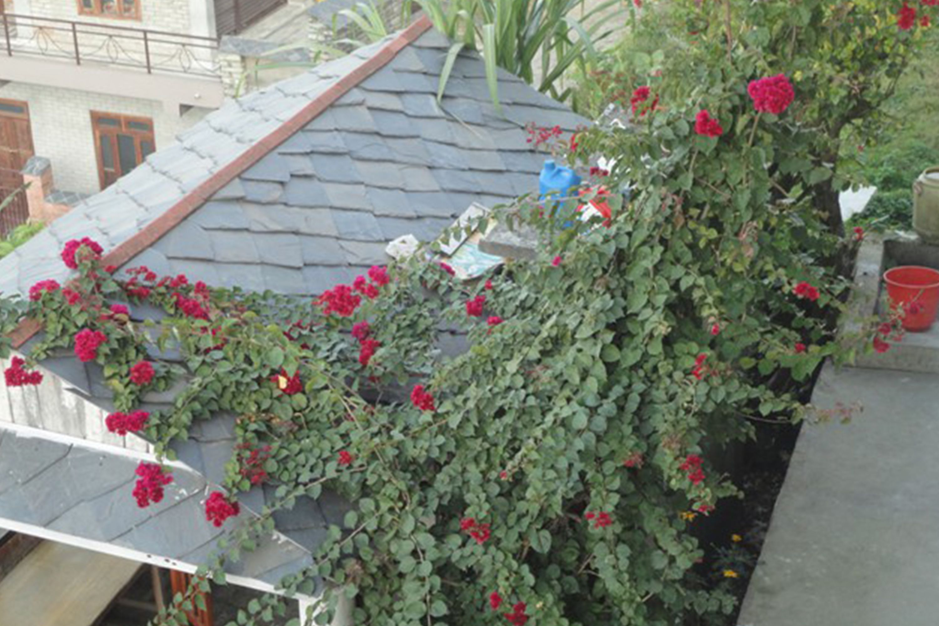 Detall de l'exterior