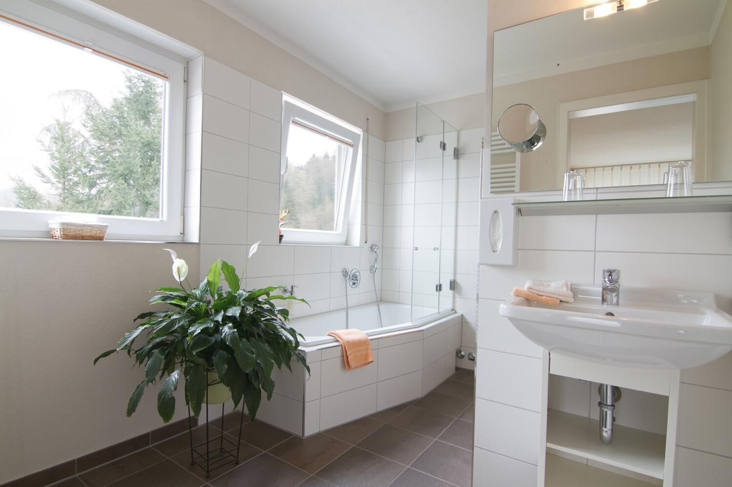 shower, free toiletries, hair dryer