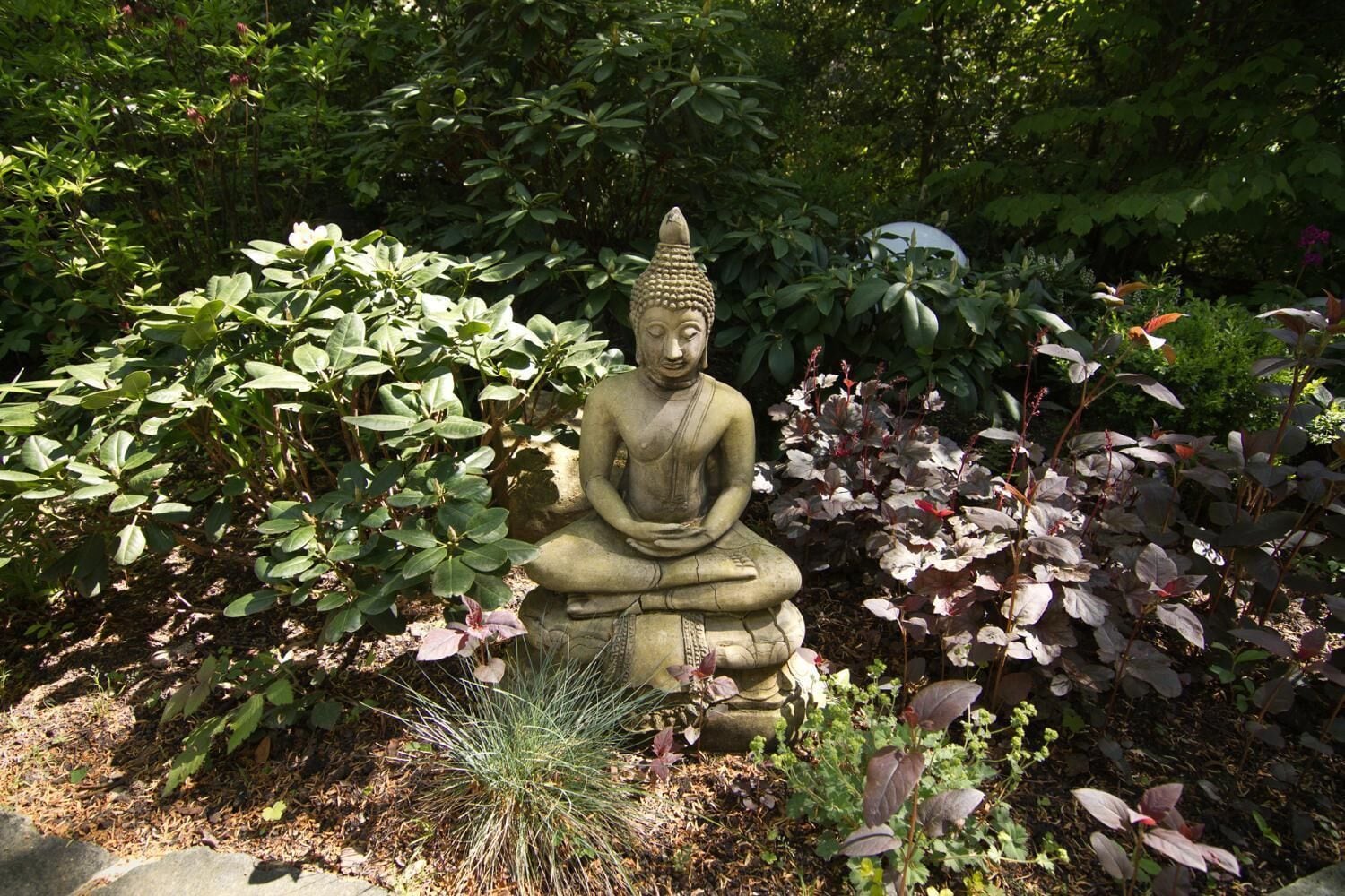 A stone Buddha statue in a garden with various plants and shrubs.