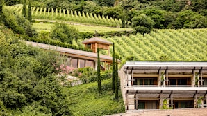 A traditional Japanese-style building with a wooden structure and tiled roof, surrounded by lush greenery and terraced gardens. - Hotel Hasslhof (Caldaro Sulla Strada del Vino)