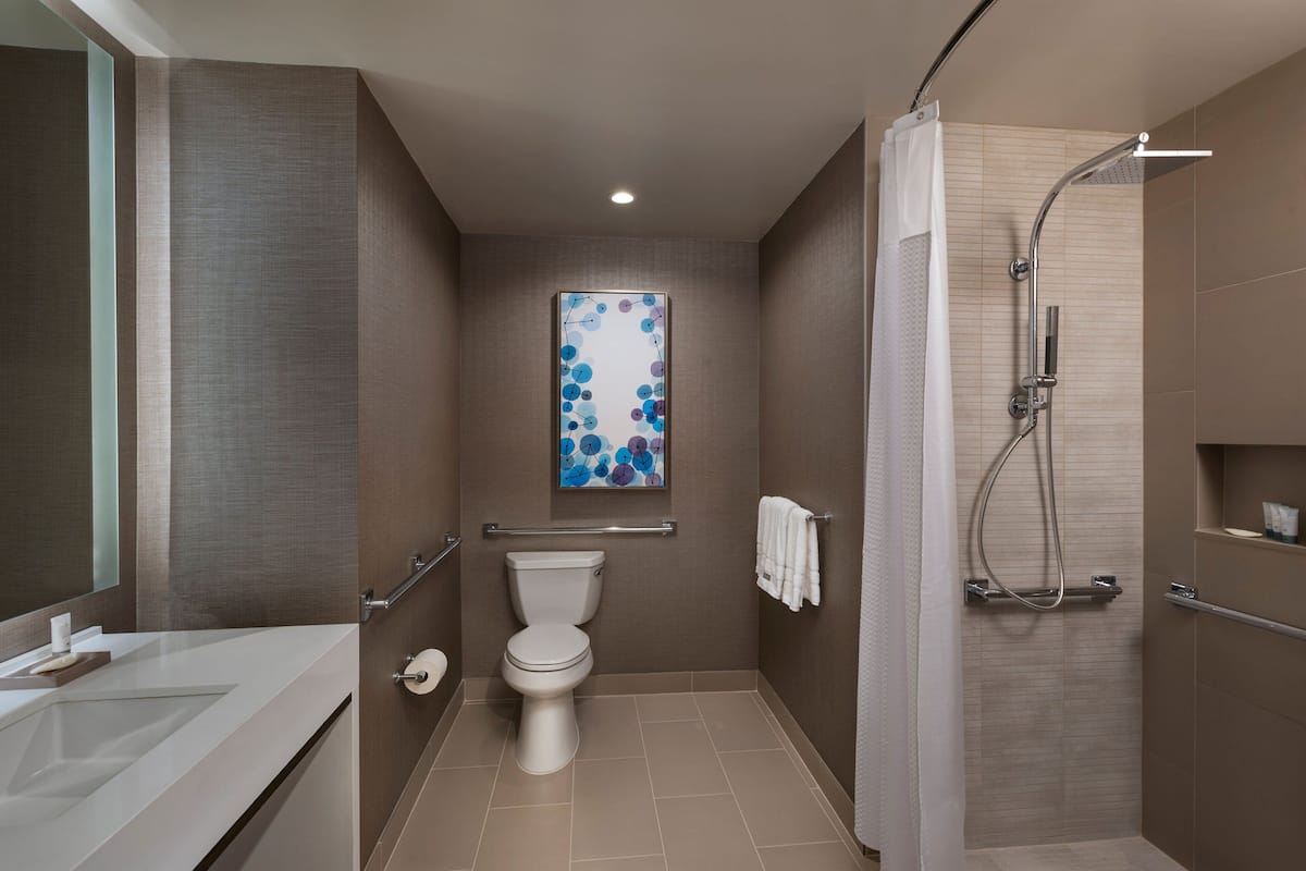 combined shower/bathtub, free toiletries, hair dryer, bathrobes