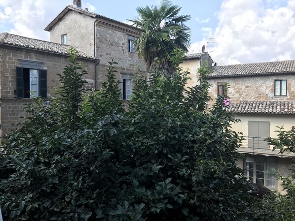 Vue depuis l’hébergement