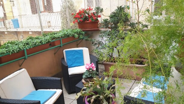 Uma área de pátio com mobiliário de vime, plantas em vasos e vista da região.