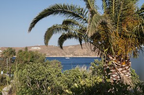 Eine Küstenlandschaft mit einem Boot auf dem Wasser, Palmen und einer felsigen Hügelkette im Hintergrund.