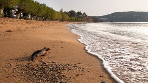 Une plage de sable avec des galets et une rangée d’arbres.