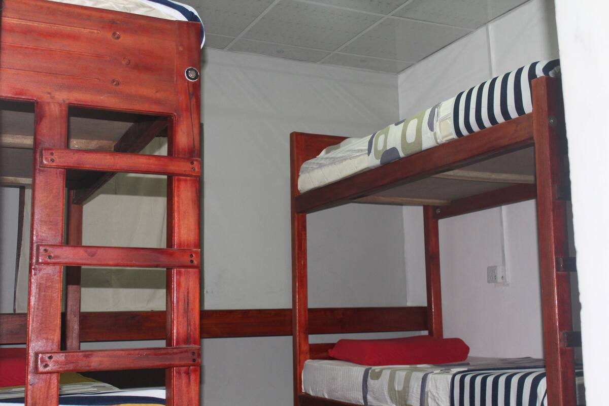 4-Bed Female Dormitory | 客房內保險箱、免費無線上網