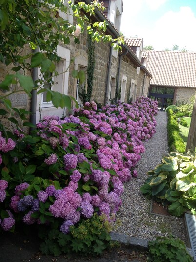 Appart Hotel Le Canville