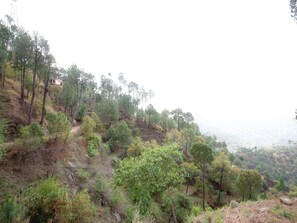 View from property - OYO 13878 Home Spacious 3BHK Kumarhatti (Solan)