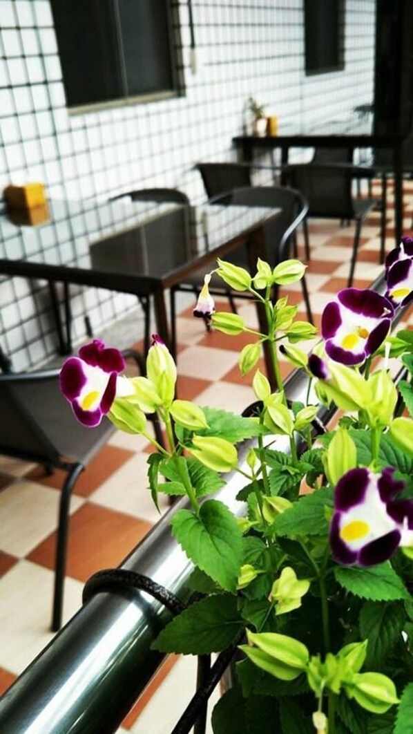 Lobby sitting area - Juo House (Fanlu)