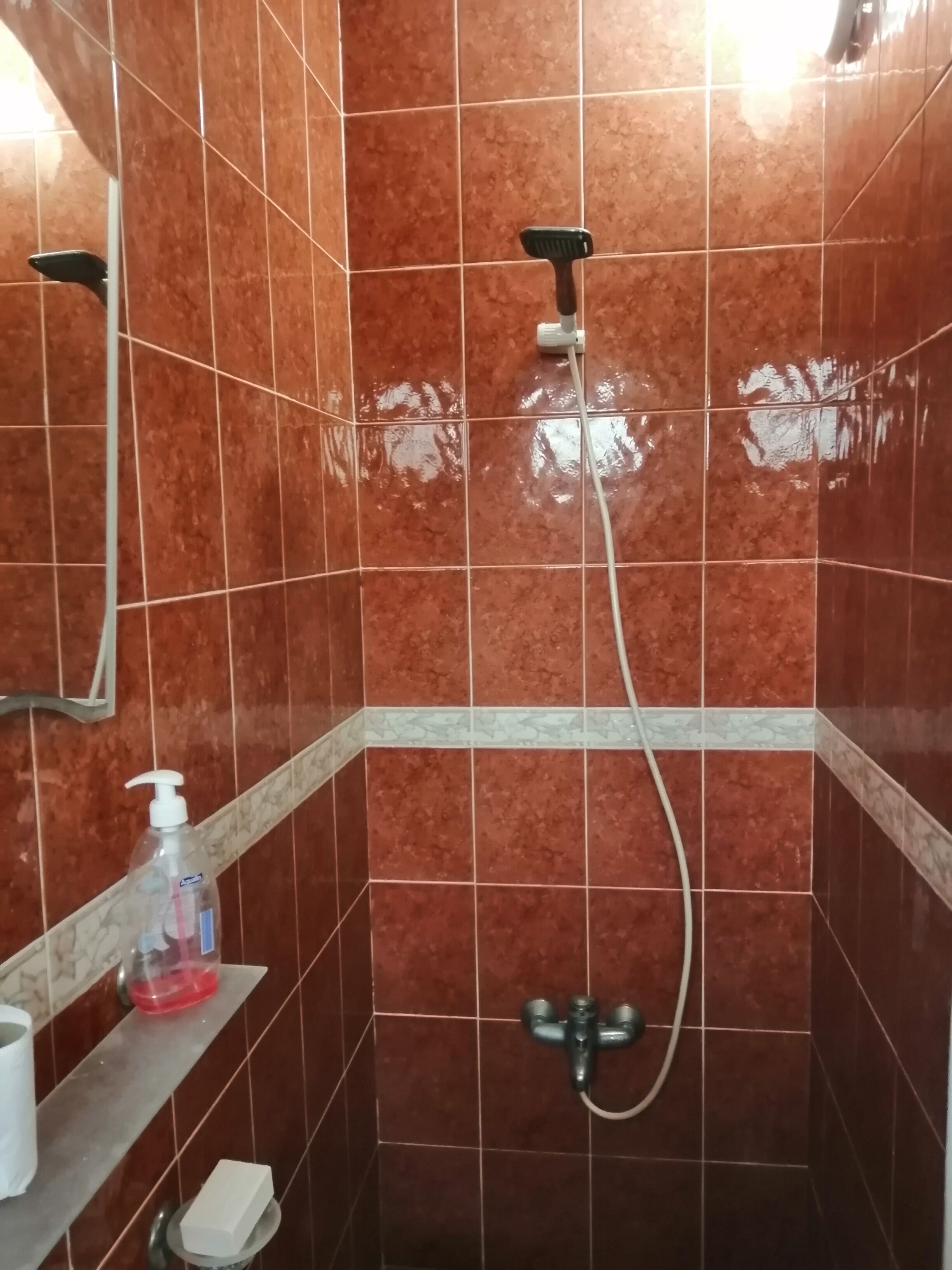 Un baño con paredes de azulejos rojos, una ducha con cabezal de mano, un grifo y un dispensador de jabón en un estante.