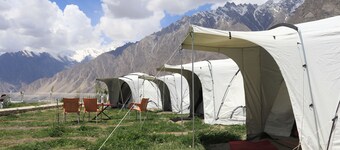 The lady finger camps