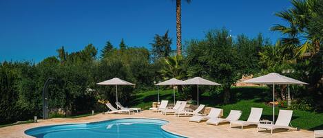 A swimming pool with lounge chairs and umbrellas, surrounded by greenery and a palm tree.