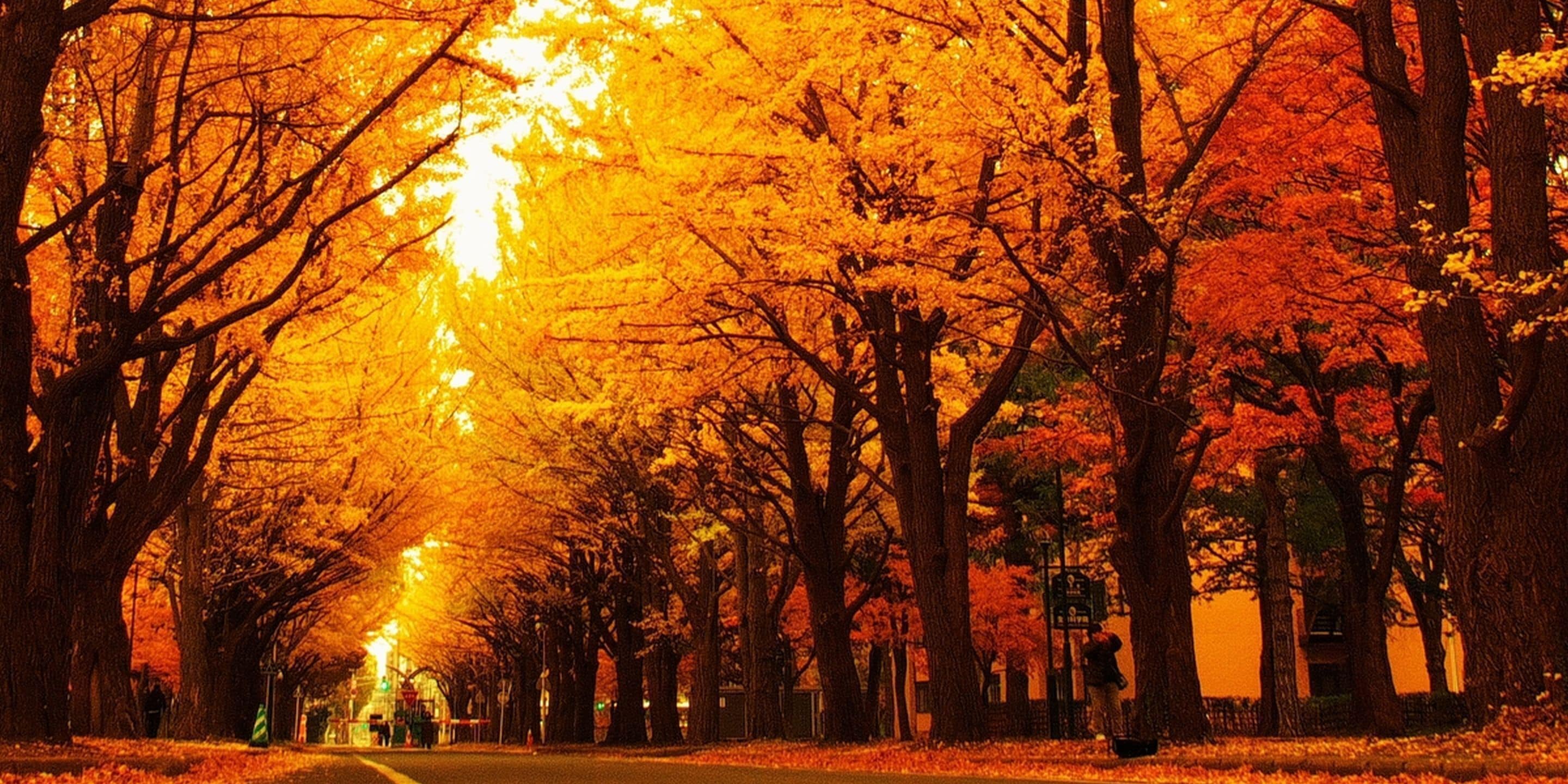 land view from property